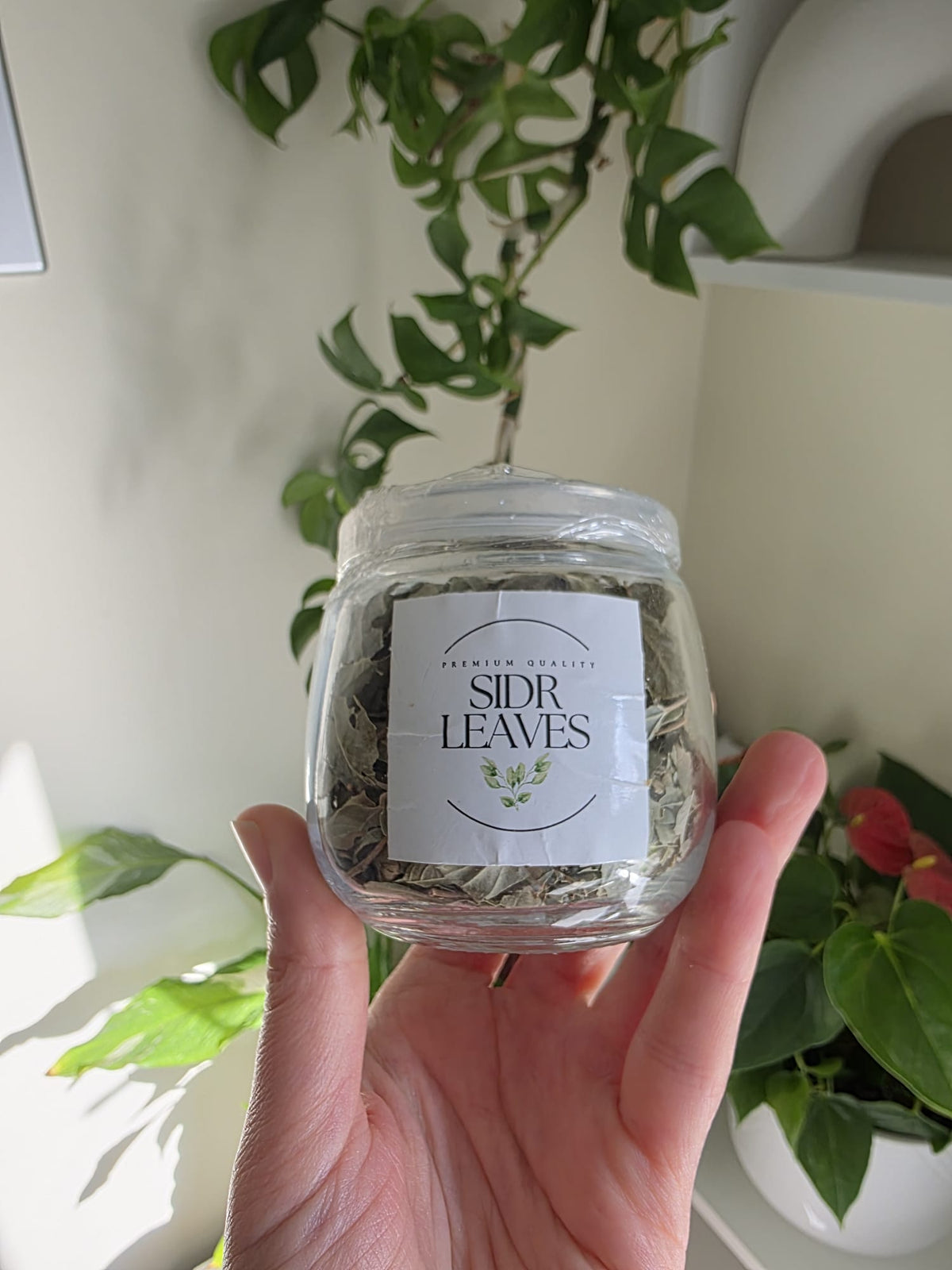 Sidr Leaves