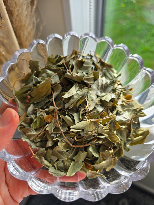 Sidr Leaves