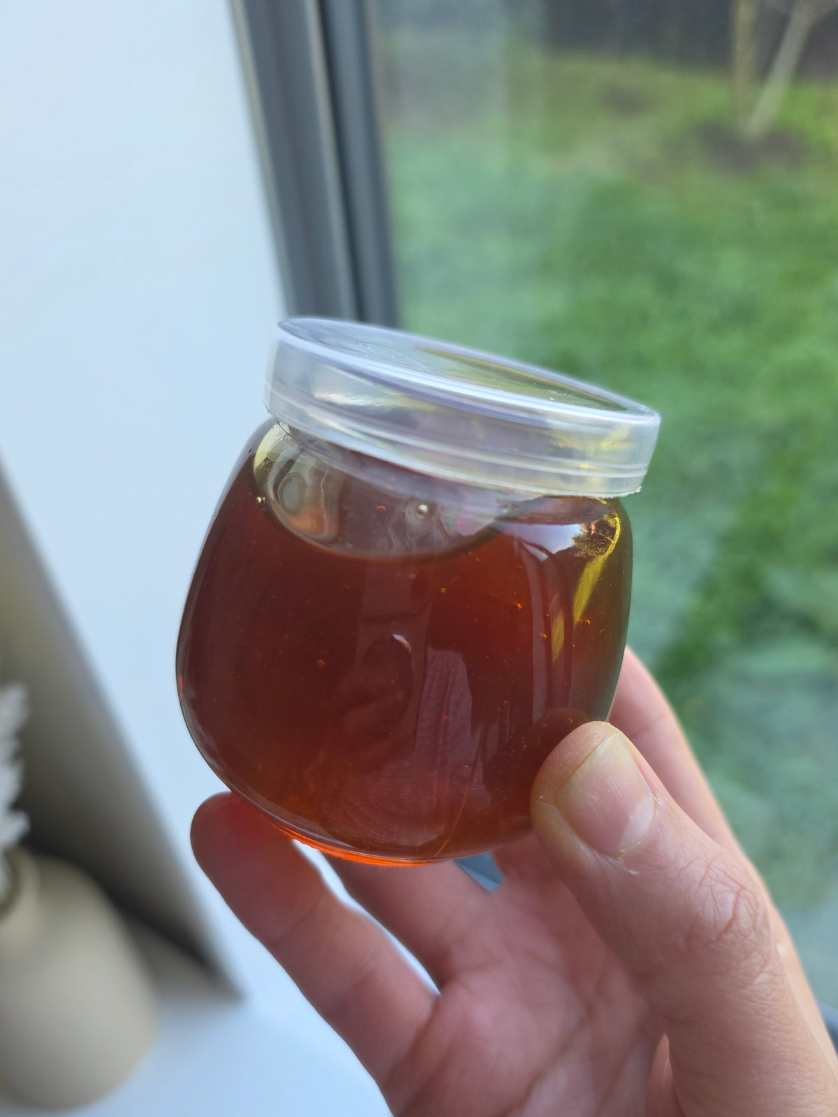 Sanoot Blend – A Traditional Senna Preparation