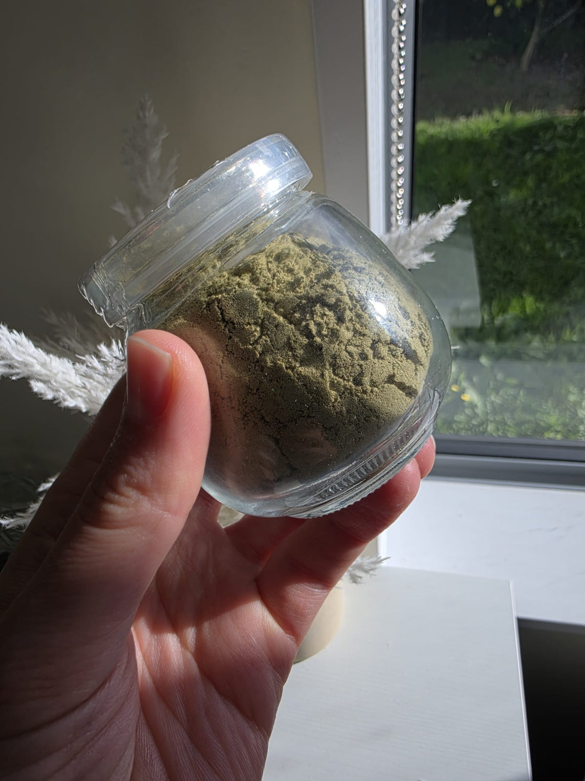 Sidr Powder